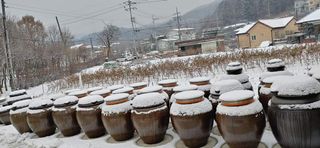 김경순님의 작성글 사진