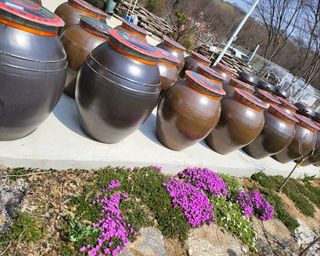 김경순님의 작성글 사진