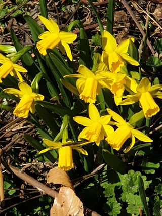 김상곤님의 자유주제 · 사진전 작성글 사진