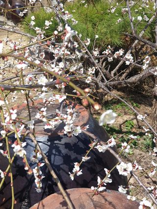 김상곤님의 자유주제 · 사진전 작성글 사진