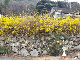 김상곤님의 자유주제 · 사진전 작성글 사진