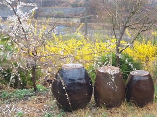 김상곤님의 자유주제 · 사진전 작성글 사진