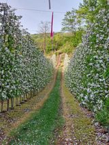 팜모닝 자유주제·사진전 게시글 이미지