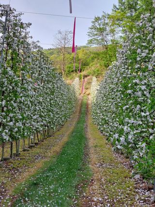 가시골농원님의 자유주제 · 사진전 작성글 사진