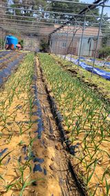 팜모닝 자유주제·사진전 게시글 이미지