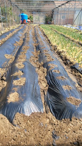 기성서님의 자유주제 · 사진전 작성글 사진