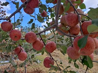 손부익님의 자유주제 · 자유게시판 작성글 사진