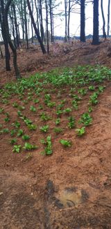 팜모닝 자유주제·사진전 게시글 이미지