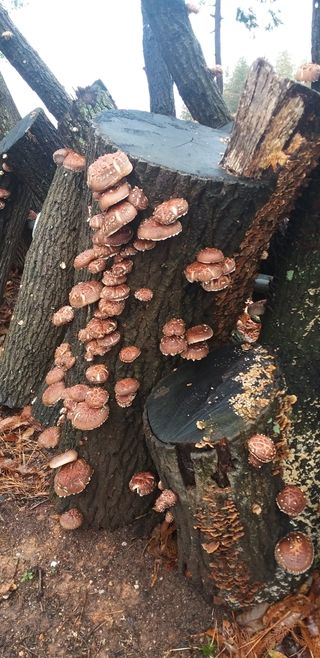 윤백호님의 자유주제 · 사진전 작성글 사진