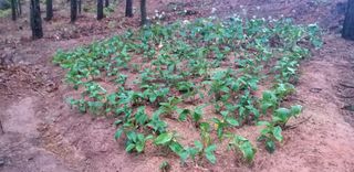 윤백호님의 자유주제 · 사진전 작성글 사진