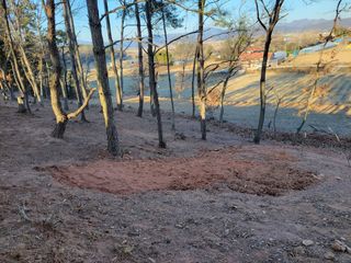 윤백호님의 자유주제 · 사진전 작성글 사진