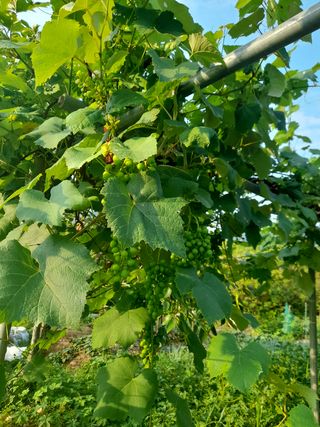 배수빈님의 자유주제 · 사진전 작성글 사진