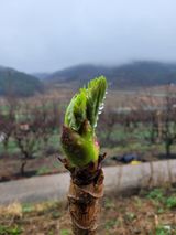 팜모닝 자유주제·사진전 게시글 이미지