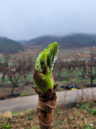 김원국님의 자유주제 · 사진전 작성글 사진