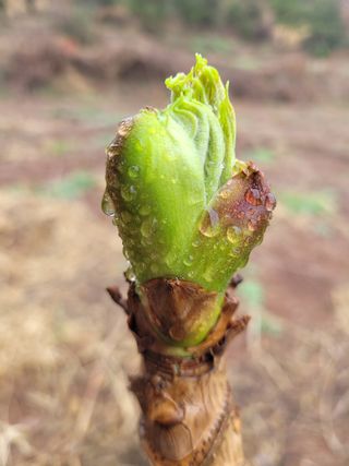 김원국님의 자유주제 · 사진전 작성글 사진