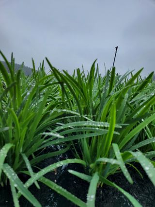 김원국님의 자유주제 · 사진전 작성글 사진
