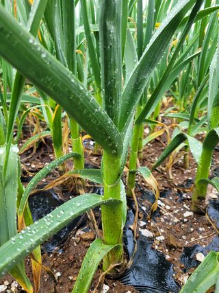 김원국님의 자유주제 · 사진전 작성글 사진