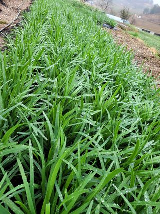 김원국님의 자유주제 · 사진전 작성글 사진