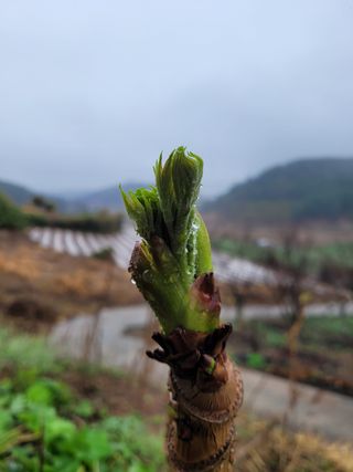 김원국님의 자유주제 · 사진전 작성글 사진