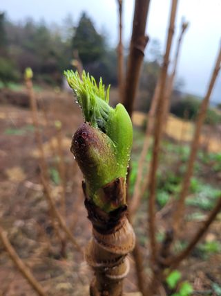 김원국님의 자유주제 · 사진전 작성글 사진