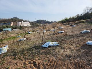 황창옥님의 자유주제 · 사진전 작성글 사진