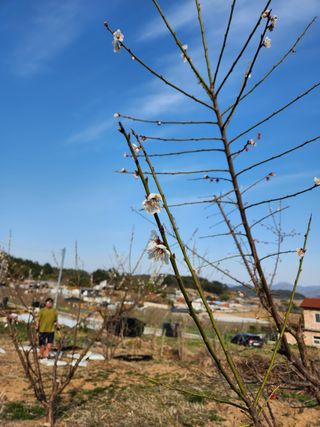 황창옥님의 자유주제 · 사진전 작성글 사진