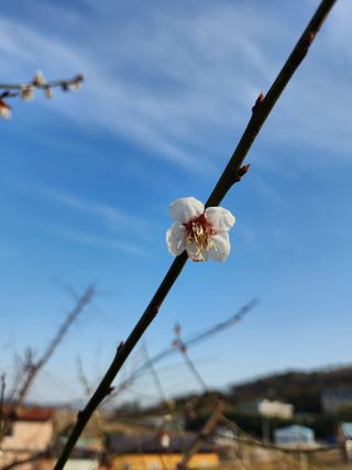 황창옥님의 자유주제 · 사진전 작성글 사진