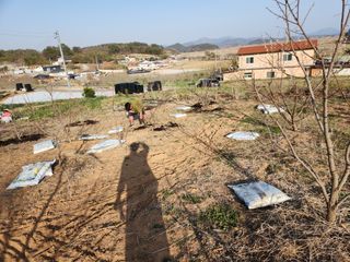 황창옥님의 자유주제 · 사진전 작성글 사진