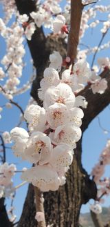 팜모닝 자유주제·자유게시판 게시글 이미지