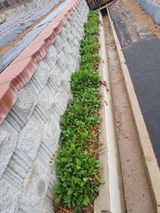 팜모닝 자유주제·사진전 게시글 이미지