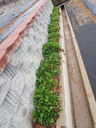 구봉갑산님의 자유주제 · 사진전 작성글 사진