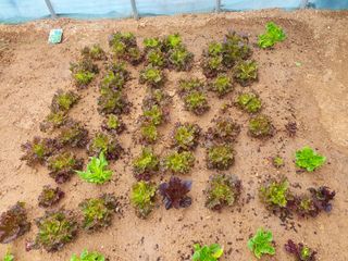 구봉갑산님의 자유주제 · 사진전 작성글 사진