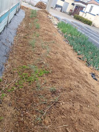 구봉갑산님의 자유주제 · 사진전 작성글 사진