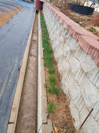 구봉갑산님의 자유주제 · 사진전 작성글 사진