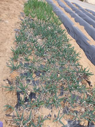 구봉갑산님의 자유주제 · 사진전 작성글 사진