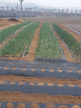 구봉갑산님의 자유주제 · 사진전 작성글 사진