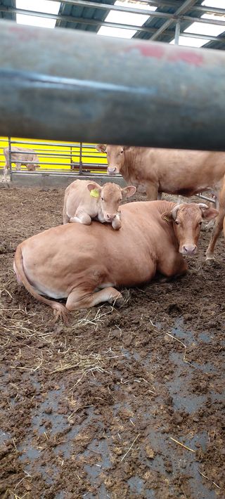 김대업님의 자유주제 · 자유게시판 작성글 사진