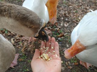 시금치15102님의 자유주제 · 사진전 작성글 사진