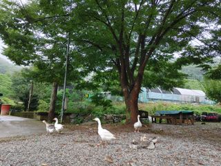 시금치15102님의 자유주제 · 사진전 작성글 사진