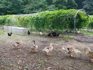 시금치15102님의 자유주제 · 사진전 작성글 사진