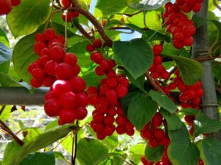 시금치15102님의 자유주제 · 사진전 작성글 사진