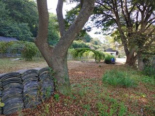 시금치15102님의 자유주제 · 사진전 작성글 사진