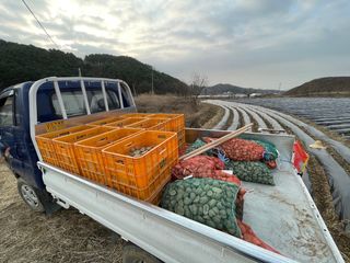 호저*윤정님의 감자 · 자유게시판 작성글 사진