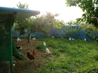 김은정님의 자유주제 · 사진전 작성글 사진