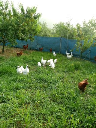 김은정님의 자유주제 · 사진전 작성글 사진