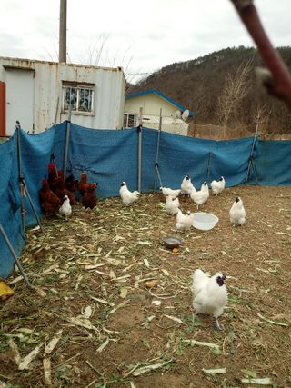 김은정님의 자유주제 · 사진전 작성글 사진