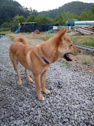 김은정님의 자유주제 · 사진전 작성글 사진