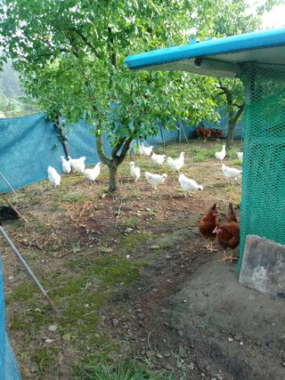 김은정님의 자유주제 · 사진전 작성글 사진