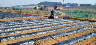 먹고합시다님의 자유주제 · 사진전 작성글 사진