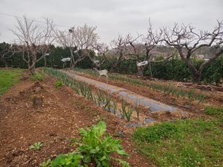 의촌농원님의 자유주제 · 사진전 작성글 사진